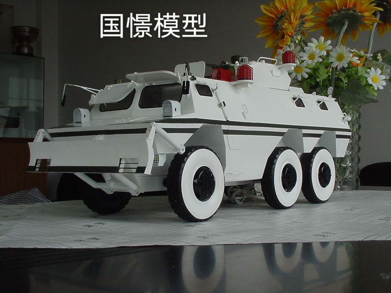 宁武县军事模型